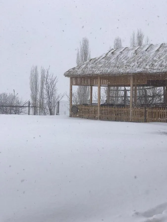 Bujtina Gjana Hotel Kukes 0*,